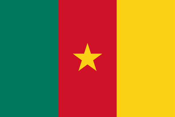 Flag Cameroon